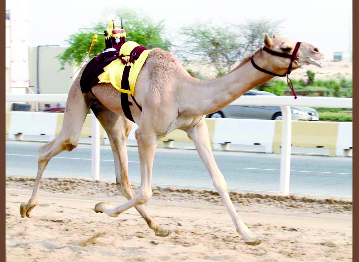 alarab