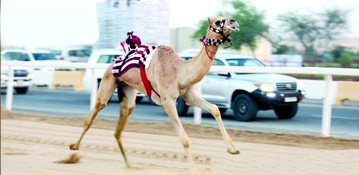 alarab