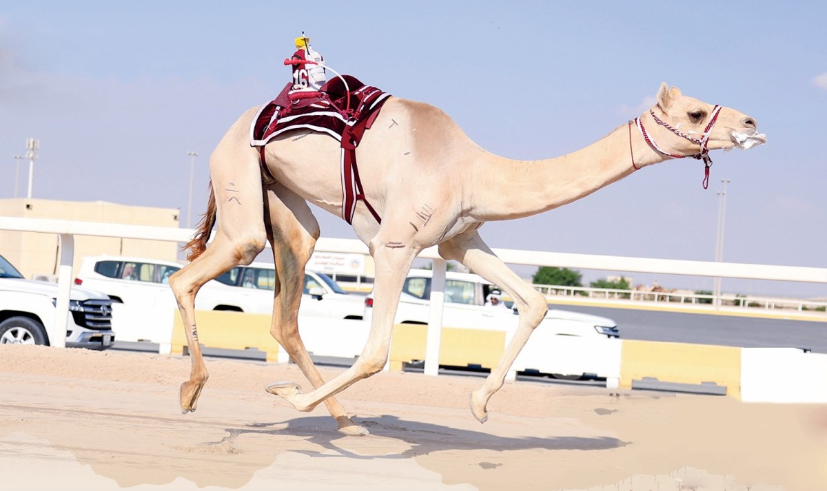 alarab