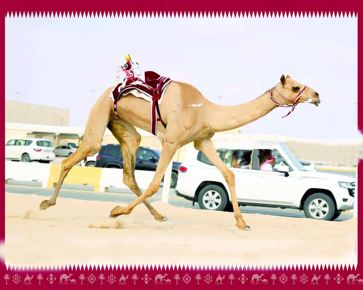 alarab