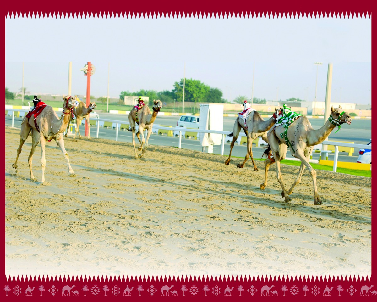 alarab