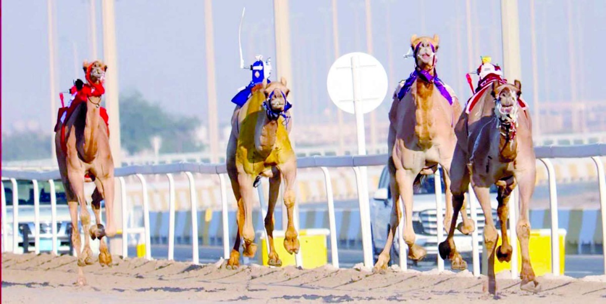 alarab