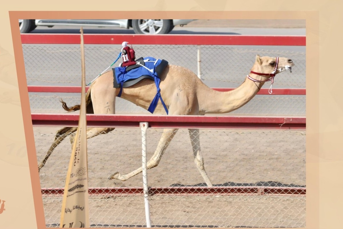 alarab