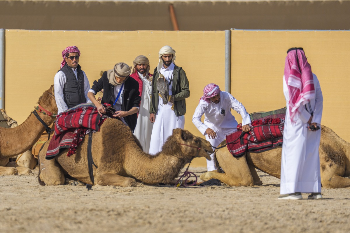 alarab