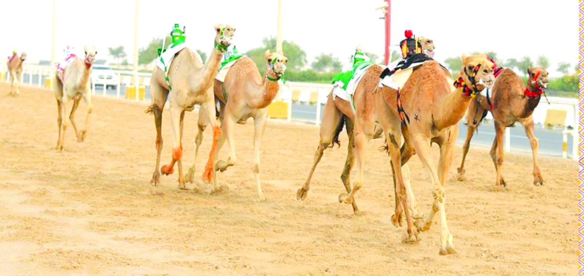 alarab