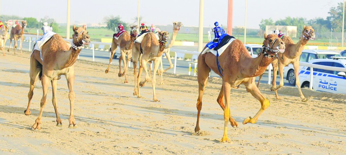 alarab