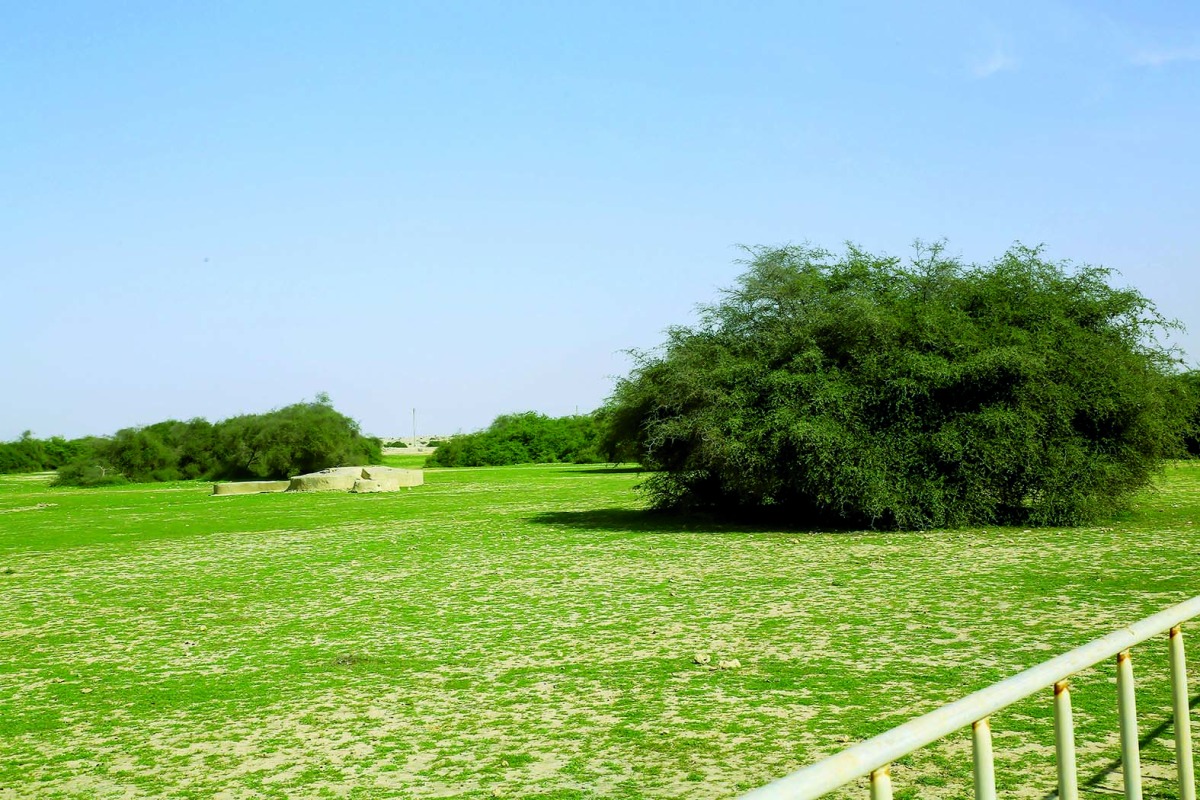 alarab