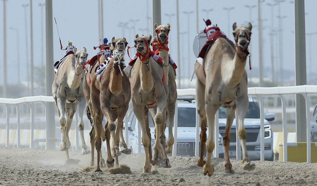 alarab