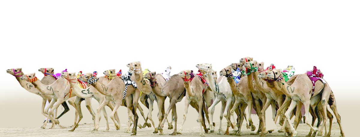 alarab