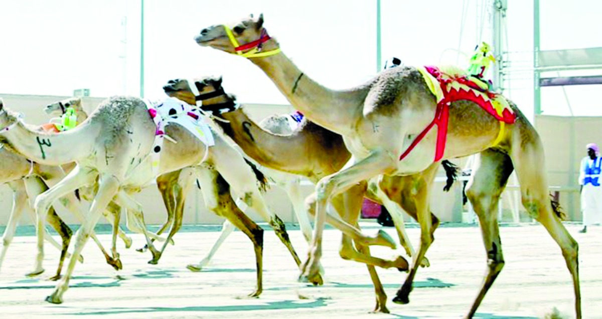 alarab