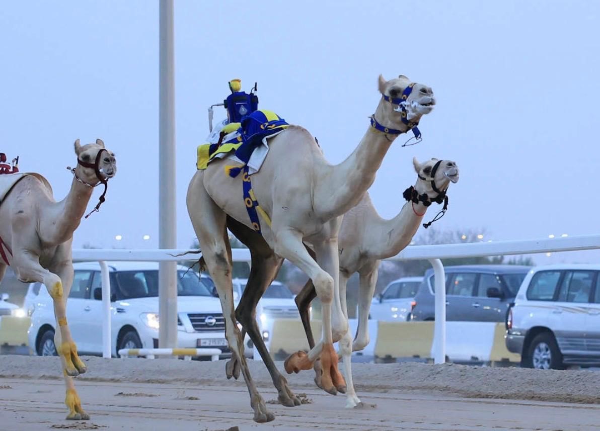 alarab