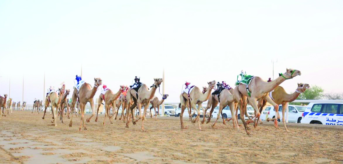 alarab