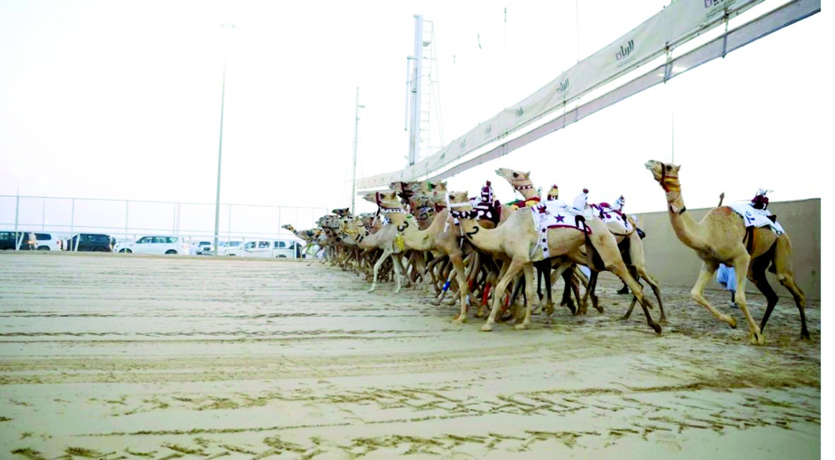 alarab