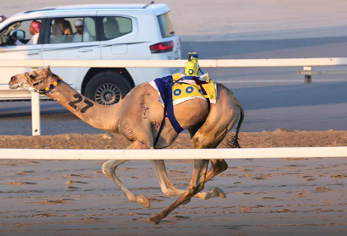 alarab