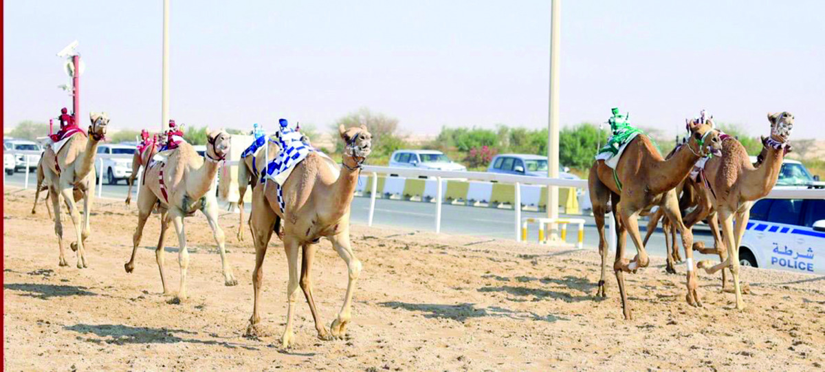 alarab
