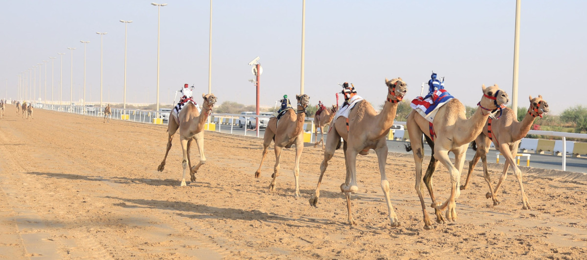 alarab