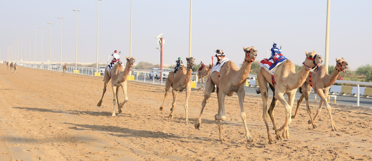 alarab