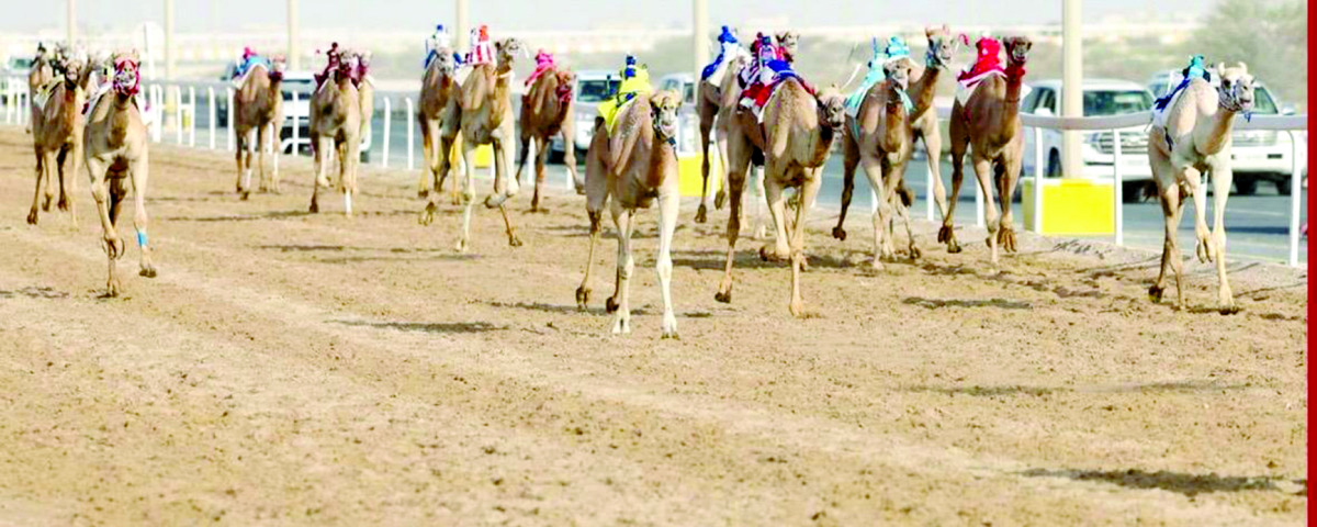 alarab